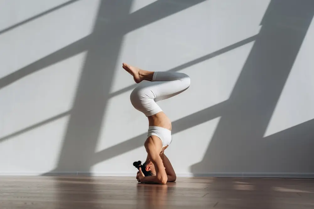 Kreditlounge-neue-Perspektiven